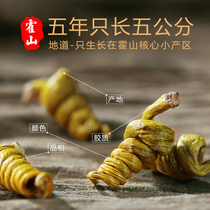 Huoshan rice Dendrobium Fengdou authentic original Dendrobium tin skin edible Chinese herbal medicine dried strips 50g premium Longtou Phoenix tail