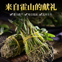 Authentic Huoshan Dendrobium rice dendrobium fresh strips Leading phoenix tail edible health flower maple bucket dry strips Selected non-iron dendrobium