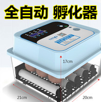 Incubator chicken duck goose bird small household fully automatic smart chick incubator incubator incubator egg incubator