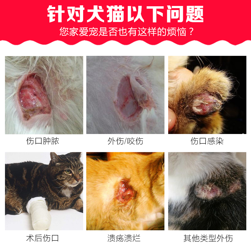 宠物皮肤问题救星？银离子喷剂弗尔莱葆真能治黑下巴吗？