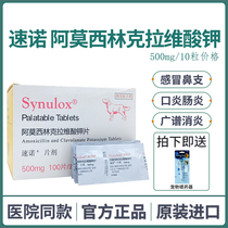 Pfizer Suno 500mg pet dog cold inflammation urinary amoxicillin clavulanic acid potassium tablets anti-inflammatory drug