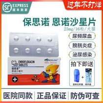 Baoling Enrofloxacin Tablets Pet Dog Cat Cold Cystitis Enteritis Urinary Infection Baosinuo Anti-inflammatory Drug