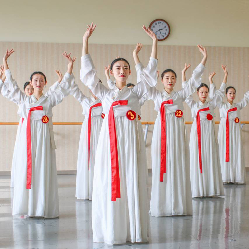 Customized 2022 new Korean folk dance practice skirt North Korean dance long tube skirt classroom practice costume costumes