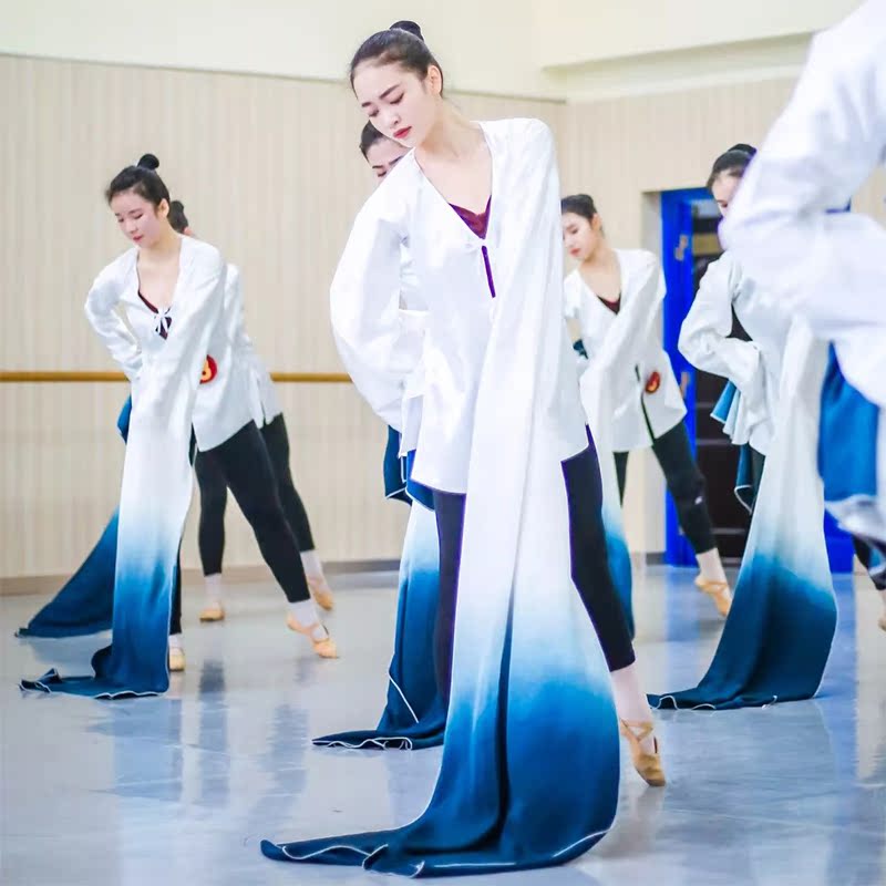 Classical dance water sleeve practice clothes female elegant swing sleeve dance performance clothes Jinghong dance class practice clothes art test customization