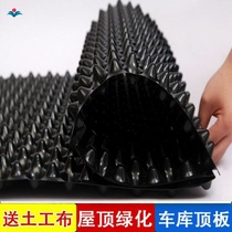 Roof Greening Drainage Water Board Balcony type Vegetable Building Top Garden Insulation Water Storage Filter Inner Pocket Fruit Tree Riser plastic