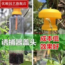 Booby-trapped bottle drops fruit fly trap melon and fruit anti-insect and fly-in-the-bottle fruit field