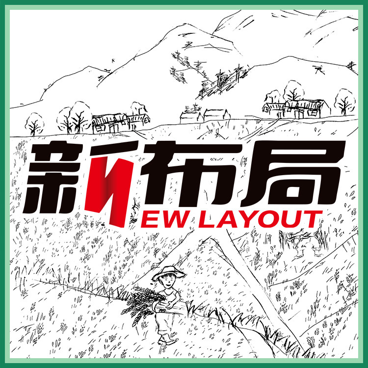 新布局不一样大米