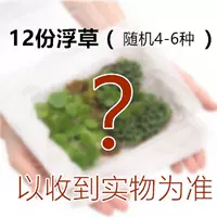 12 части плавающей травы (4-6 случайных)