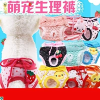 Соответствующие брюки Менструальная безопасность Внутренние штаны, антифемайская собака Пет -дюргинги, санитарная физиология плюшевая борьба