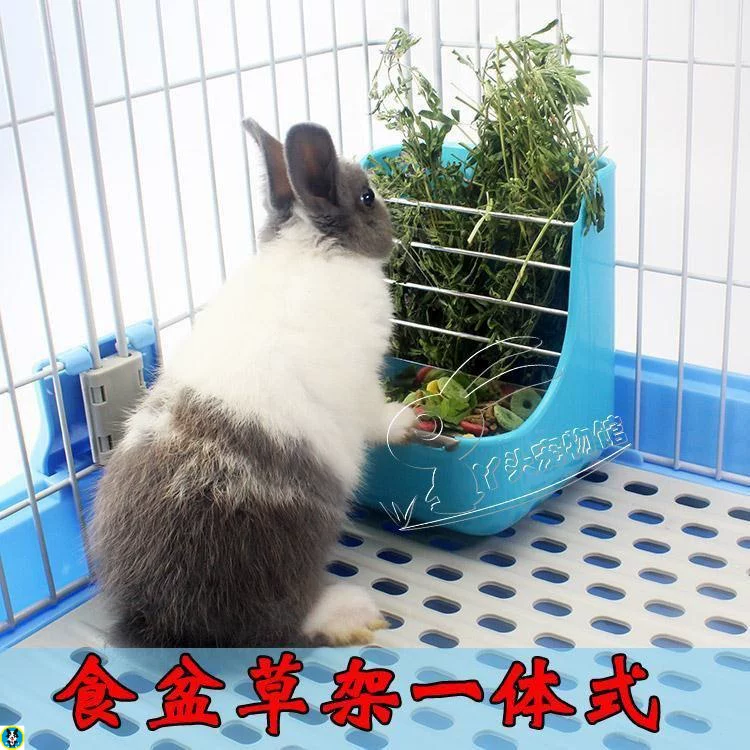 Бесплатная доставка: Гуи Гуино порк порк Totoro кролик миска закреплённая челюсть стальная fedrior fedrior коробки питания товары