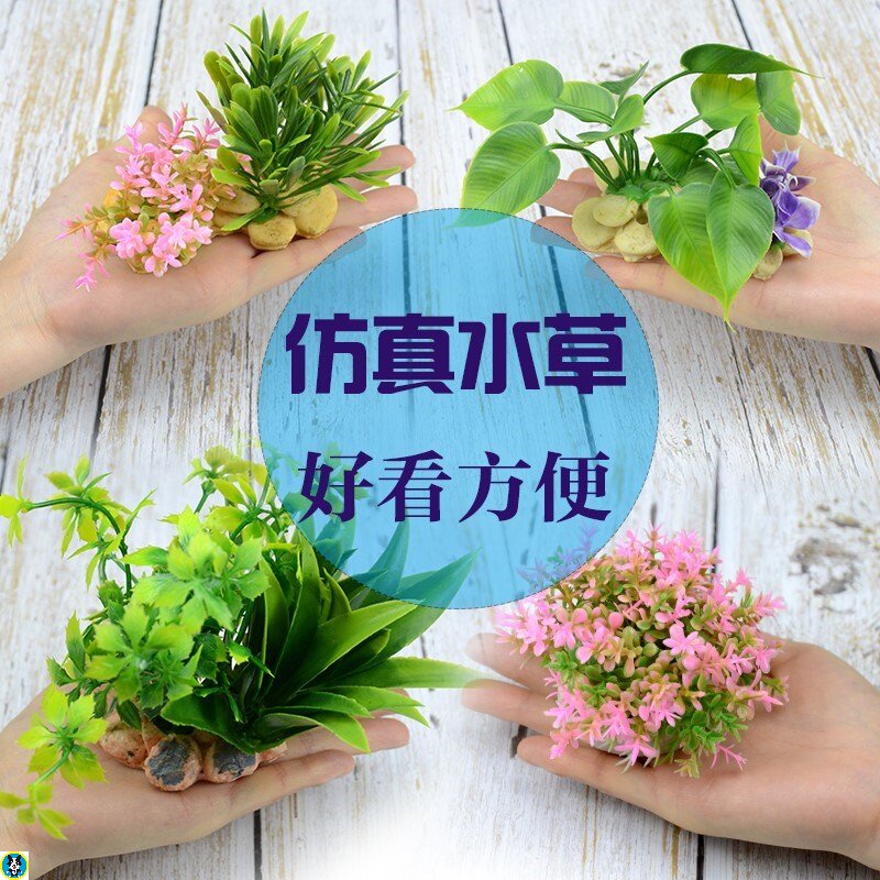 鱼缸造景水草泥生态塑料花草仿装饰圆形种植小型假花海藻