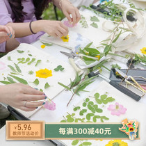 Plant dyeing flower and tree rubbing leaves and petals plant printing and dyeing cloth plant dyeing cloth handmade diy tools