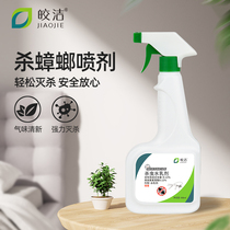 Kyaukter Cockroach Drug Size Pass Kill Powerful Cockroach Drug Spray small strong one sweep net home Potent Insecticide Spray