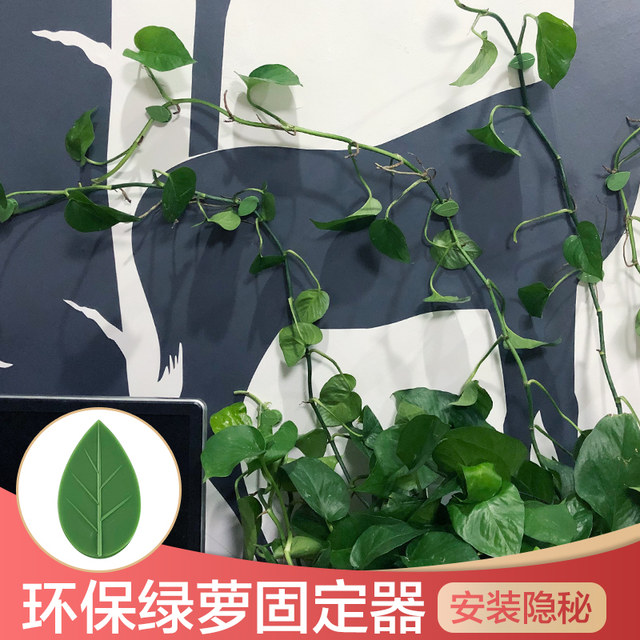 ສີຂຽວ radish wall climbing artifact green basket fixed climb fixed clip climbing hook green luo buckle ring traceless green plant holder