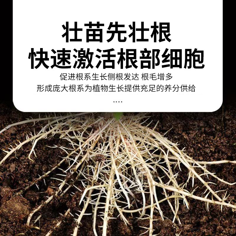 生根粉真的能促进所有植物生根吗?它适用于哪些场景?-生物菌肥-淘宝好物网
