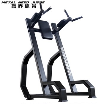 Shake sports parallel bar knee raise factory price sales
