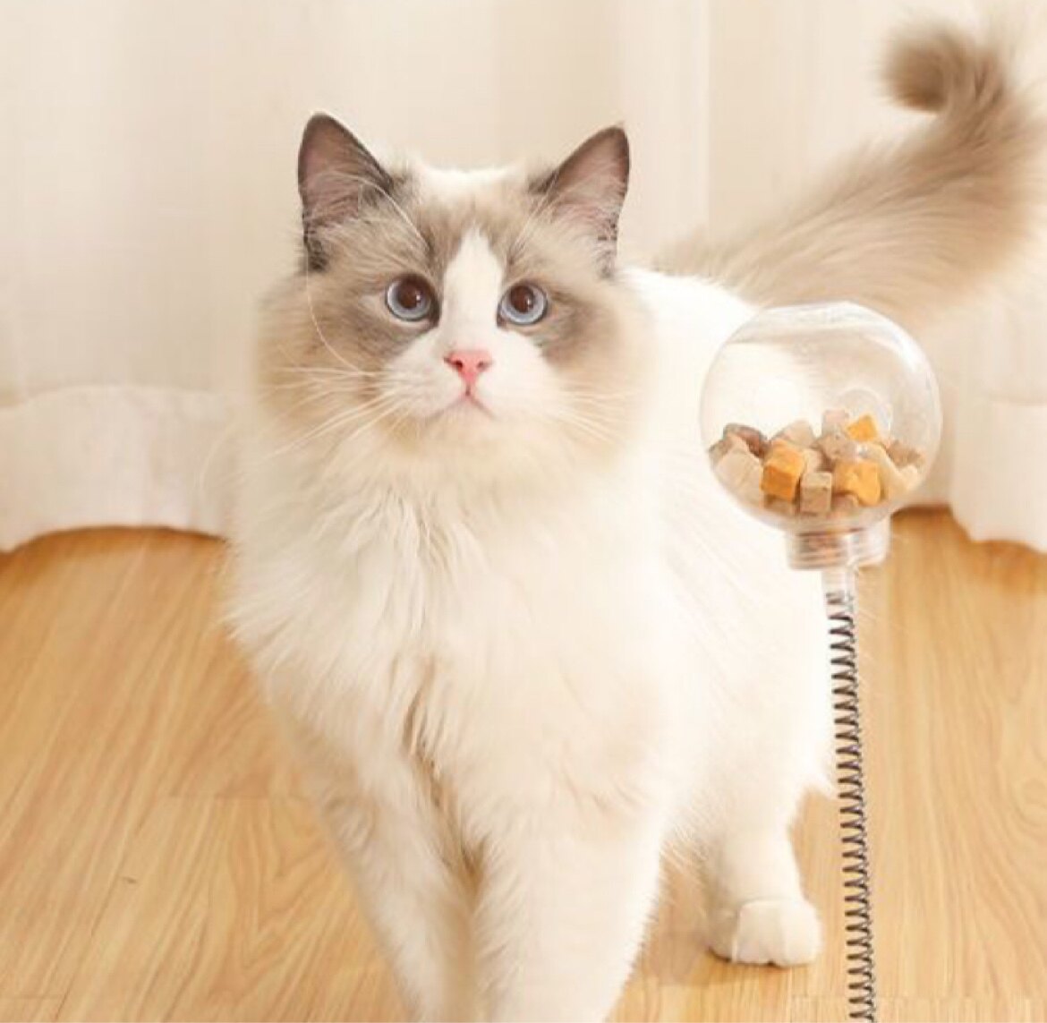 KUKO猫别墅