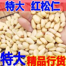 2023 new red pine nuts Northeastern raw pine nuts fresh original large grain canned bulk net weight 500g