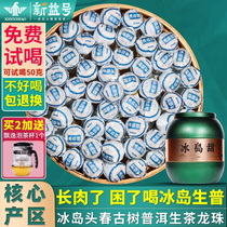 Icelandic Ancient Tree Puer Tea Raw Tea Xiaotuo Tea Xinyihao Icelandic Sweet Dragon Pearl Tea Raw Puer Tea Bag Yunnan Tea
