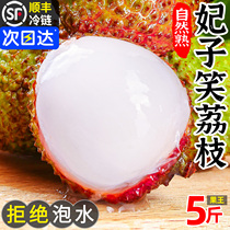 Hainan Feizixiao lychee 5 pounds of fresh fruit seasonal whole box pregnant women white sugar freshly picked Guiying lychee meat 3