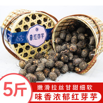 Scarab red bud taro 5 kg gift box fresh spot lead mountain red taro powder glutinous baby supplement coarse grain