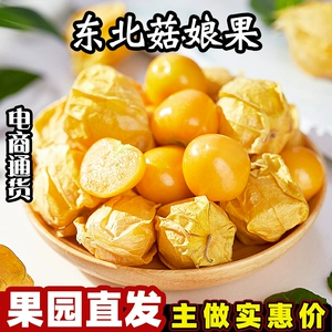 [时令新鲜当季水果东北特产大黄菇娘甜姑娘果洋菇娘灯笼果菇凉]