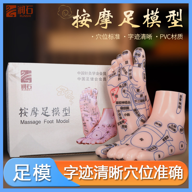 润石足底按摩模型足疗反射区穴位脚模高清刻字足疗店养生参考学习