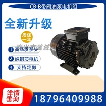 Band sawing machine oil pump motor YS8014 YS8024 YS8034 7124 7134 gear pump CB-B6 4 10
