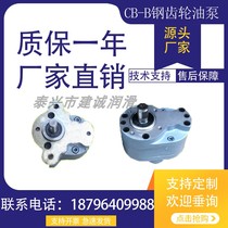 CB-B4 B6 B10 B16 B25 B32 B40 B50 B63 B80 B100 B125 Steel Gear Oil Pump