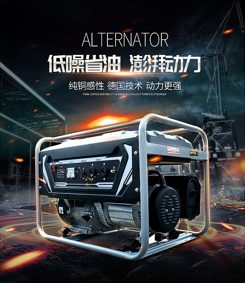Ring Power gasoline generator 3KW hand/electric start single-phase small household gasoline generator set 220V