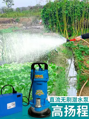 Water vegetable water pump agricultural outdoor irrigation large flow pump household deep well DC brushless submersible pump 48v60v