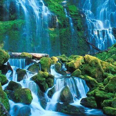 智能家居门铃电器