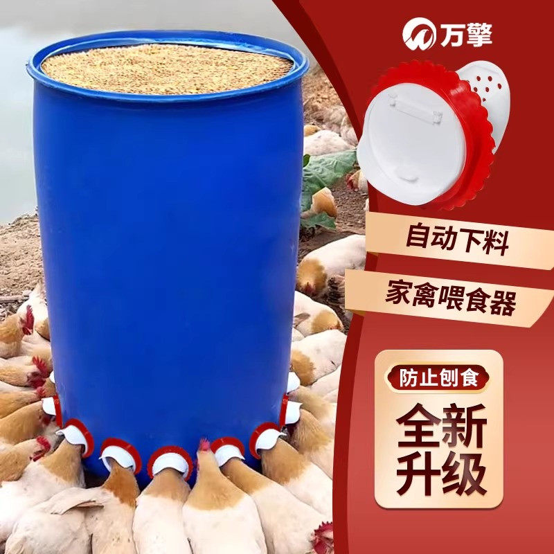 鸡食自动投喂器喂鸡食槽自动喂食器新款家禽饲料食桶养鸭鹅饮水碗