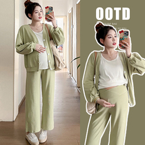 Maternity clothing autumn and winter clothing sets fashionable new outer wear casual and stylish autumn large size slimming two-piece trendy set