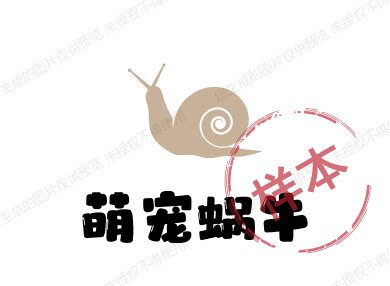 萌宠蜗牛
