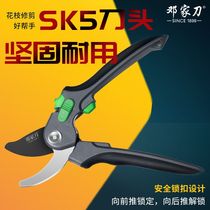 Deng Jiakni scissors tree trimming scissors fruit tree cutting scissors tree trimming tool