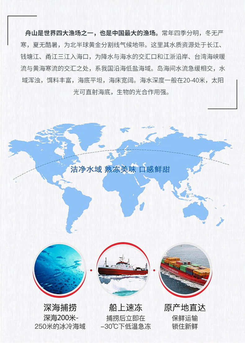 东海舟山野生墨鱼 2斤 4-6只 鲜活冷冻 图3