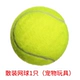 1 [Pet Entertainment Tennis]