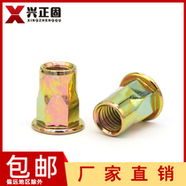 Hexagon pull rivet nut flat head half hexagon rivet nut pull cap M4M5M6M8M10M12 galvanized pull anchor Ram