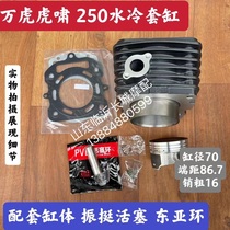 ten thousand tiger king mid-king tiger roaring 300 sets of cylinders ten thousand tigers howl 200 sets of cylinders ten thousand tigers howl 250 sets of cylinder piston rings