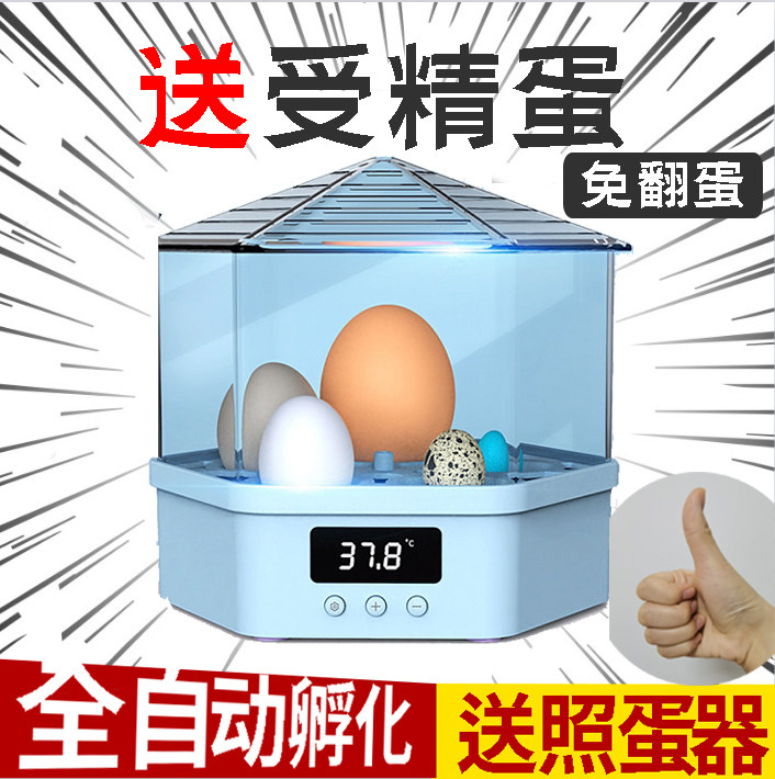 Incubator Small household automatic intelligent mini egg hatcher Small bird egg children's egg hatcher machine 1 small