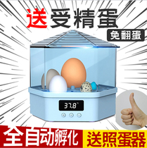 Incubator Small household automatic intelligent mini egg hatcher Small bird egg childrens egg hatcher machine 1 small
