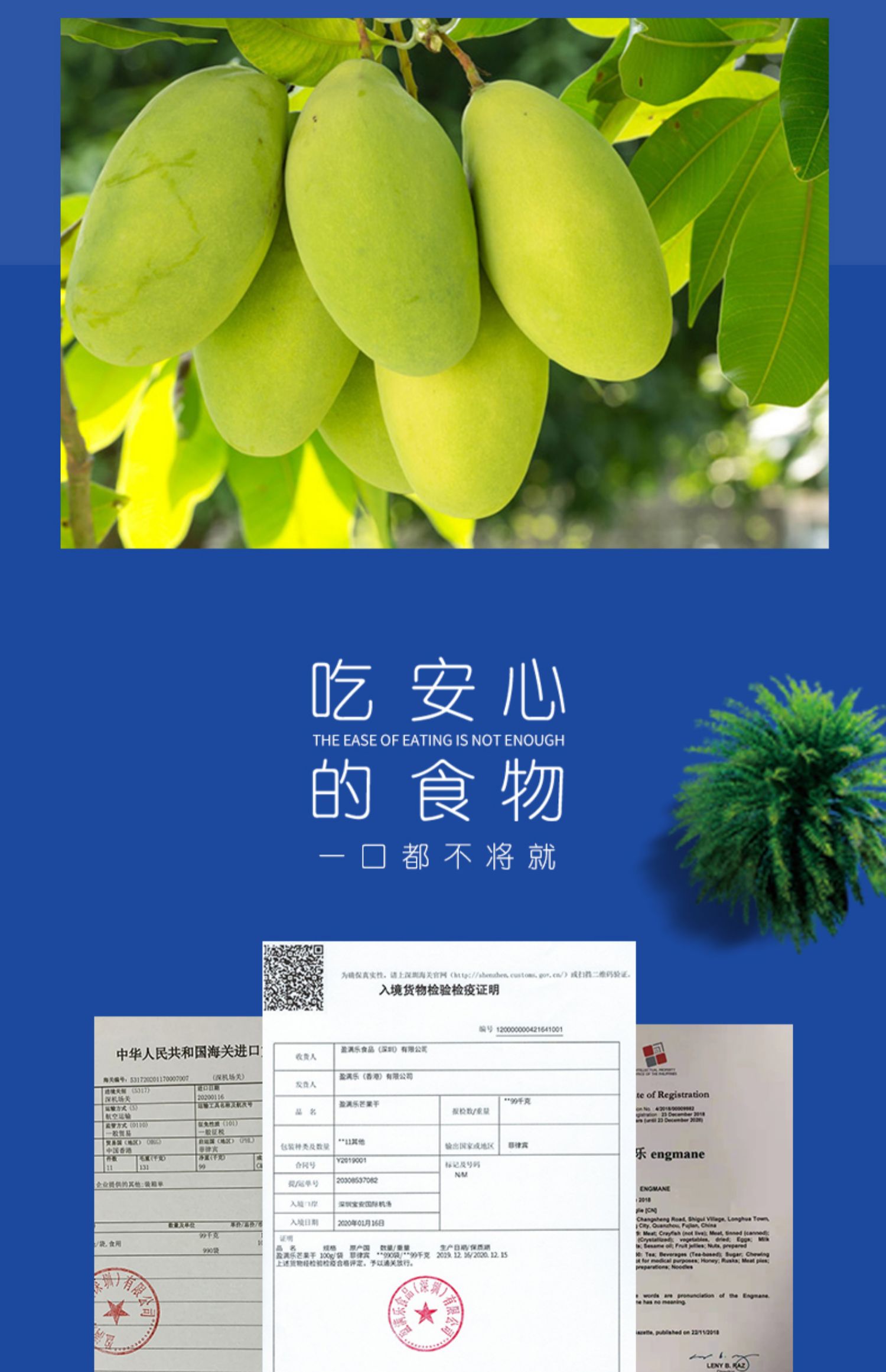 【盈满乐】菲律宾进口零食果脯芒果干