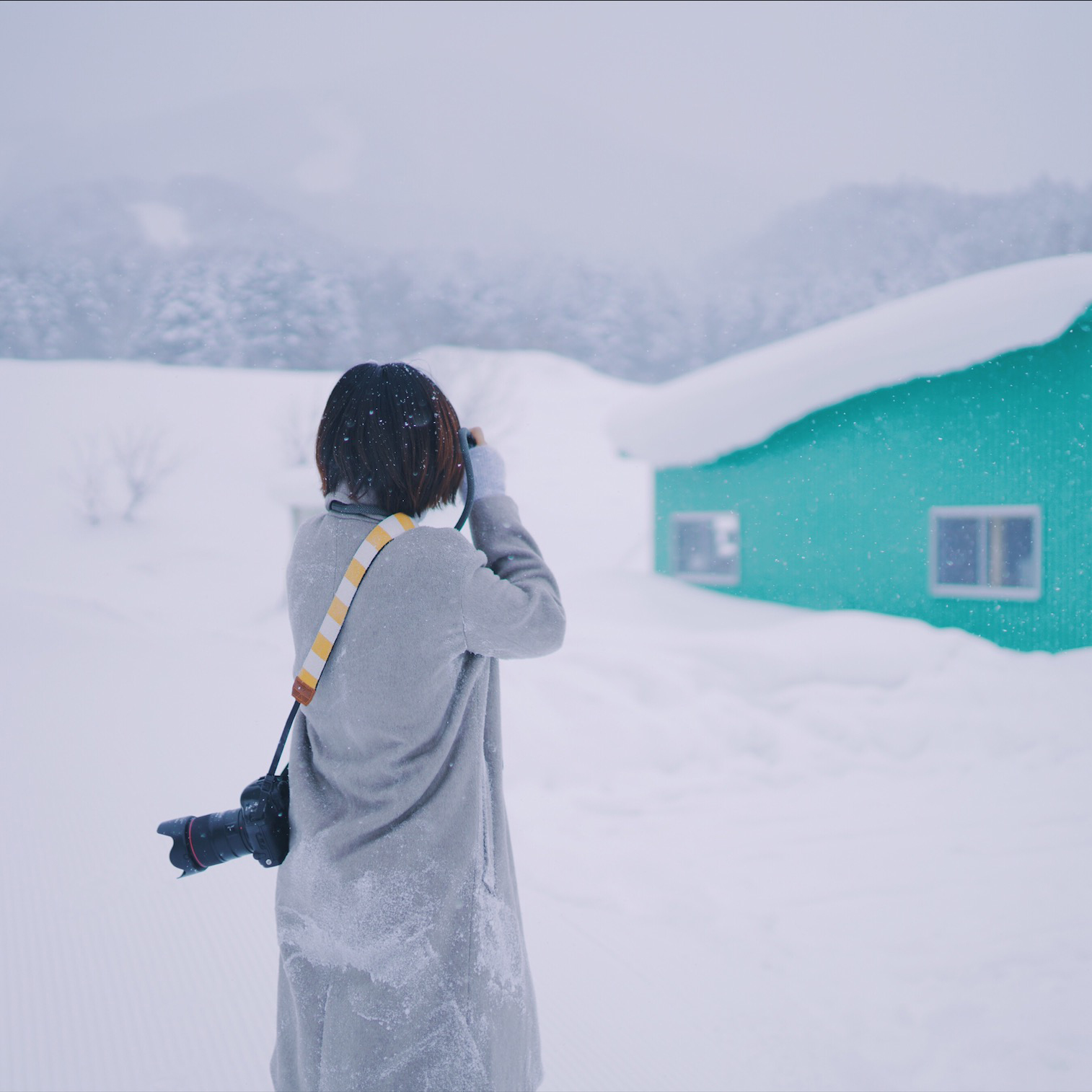 フリーダムヤンスワローカメラストラップイエローホワイトブルーホワイト刺繍減圧カップルカメラストラップショルダーストラップSLR