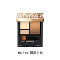 BR734-коксовый абрикосовый коричневый