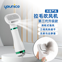 Pet hair dryer Hair pulling integrated bath drying Small dog Cat hair combing special Teddy dog hair blowing artifact