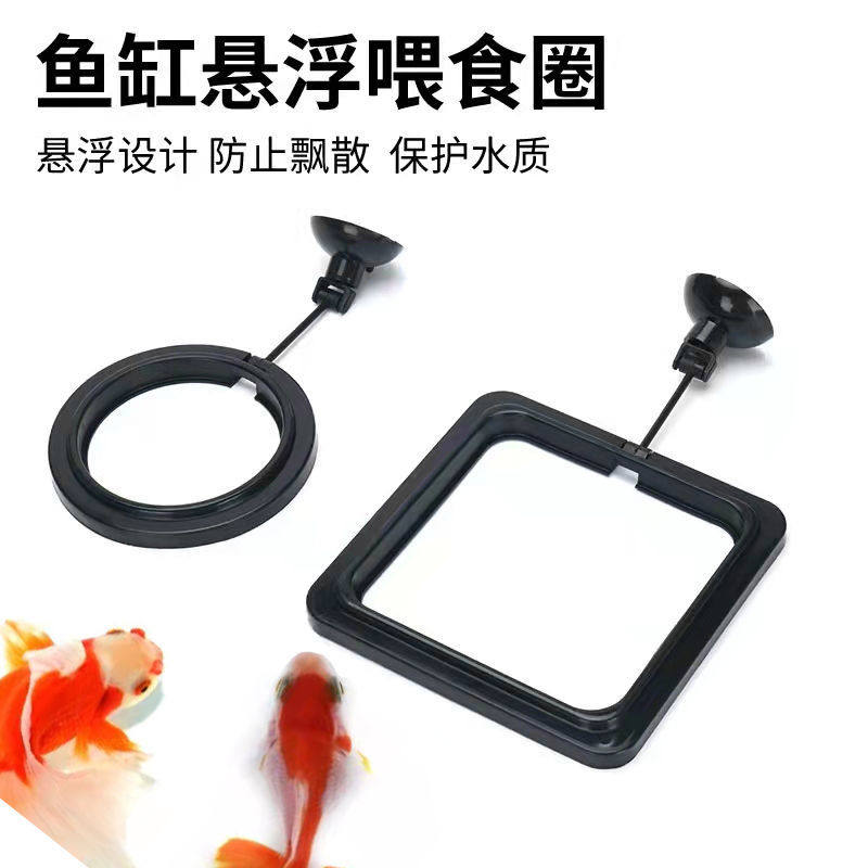 Fish tank feeder aquarium fish food feeder feeding ring small fish tropical peacock feed buoyancy feeder-Taobao