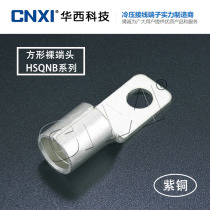 SK Huaxi CNXI square bare end HSQNB22-6 38-6 60-8 70-10 cold pressure terminal TQ