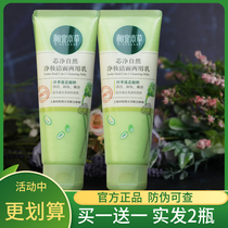 Phase Ibena Grass Core Net Wash Face Milk 130g Girls and women Deep Clean Pores Control Oil Moisturizing Foam Makeup Remover Finish