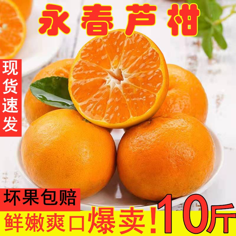 Fujian Yongchun citrus 10 catties fresh citrus oranges are now picked in season pregnant women fruit ugly tangerine tangerine whole box
